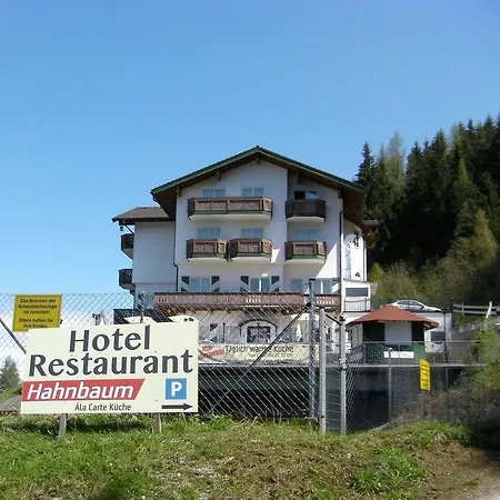 Hahnbaum 3* Sankt Johann im Pongau