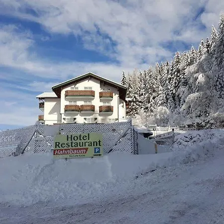 Hotel Hahnbaum