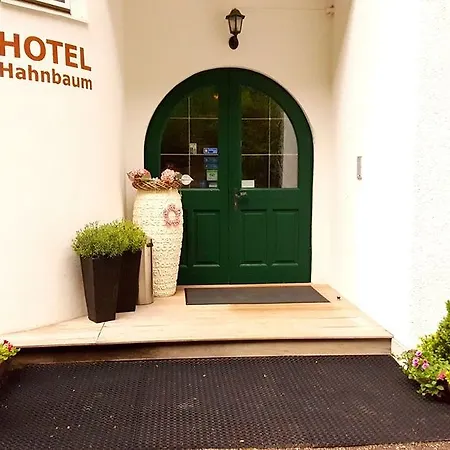 Hahnbaum 3* Sankt Johann im Pongau