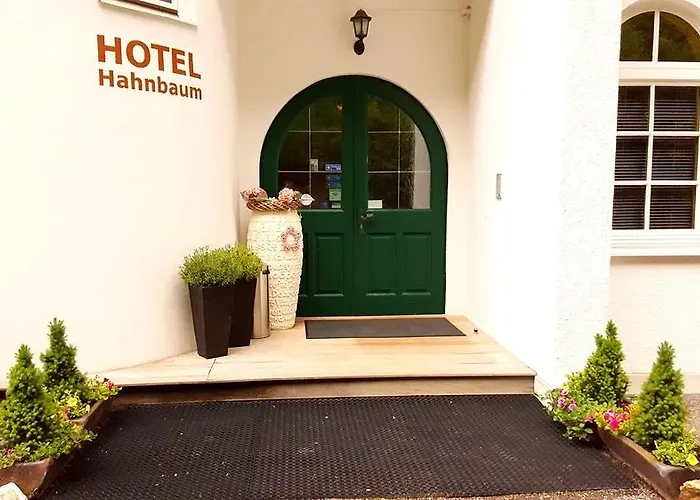 Hahnbaum 3* Sankt Johann im Pongau